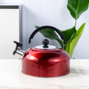 stainless steel kettle