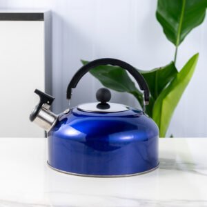 stainless steel kettle