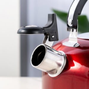 stainless steel kettle