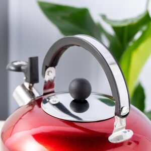 stainless steel kettle