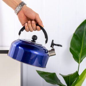 stainless steel kettle