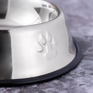 stainless steel pet bowl